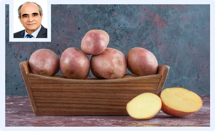 Sweet Potatoes Gain Popularity in Tunisia and Worldwide