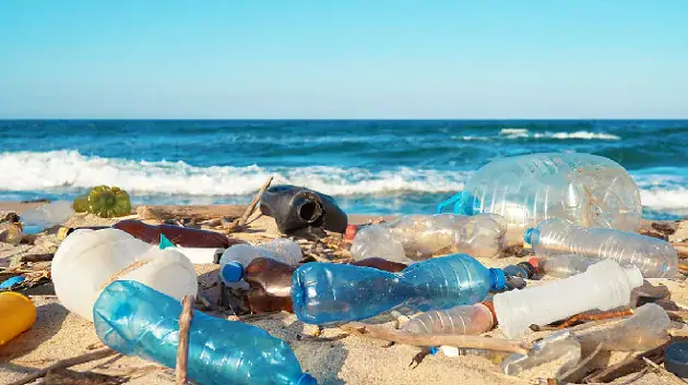 Tunisian Researchers Launch Innovative Database for AI-Powered Coastal Waste Monitoring
