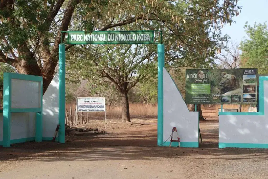 Senegal Launches Digital Platform for Niokolo Koba National Park Document Management