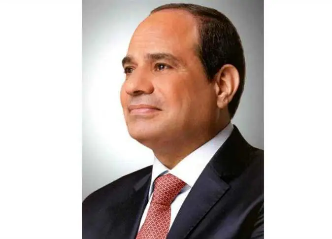 Egyptian President Outlines Vision for African Development at Russia-Africa Summit