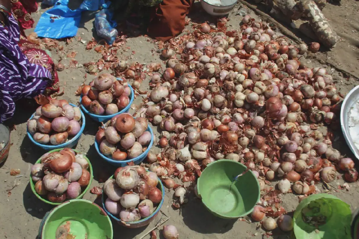 Diffa Market Sees Mixed Trends in Prices of Essential Goods