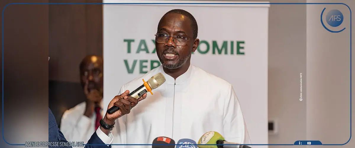 Sénégal à la COP 31 : diversification des financements climatiques et actions tangibles