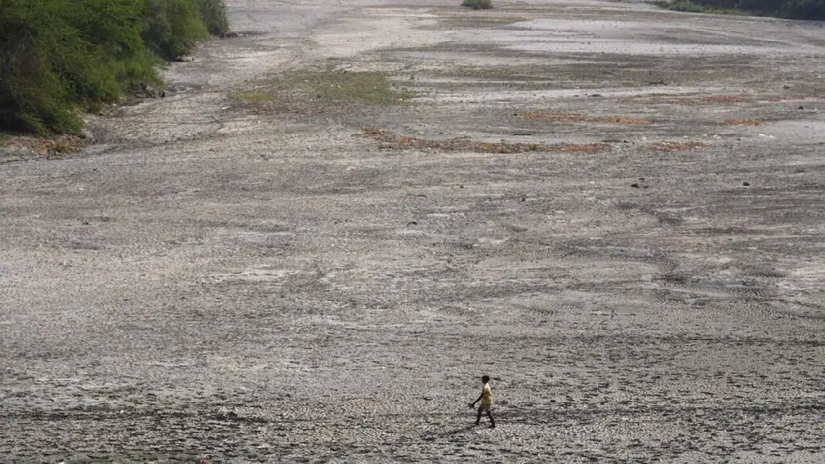 Medical Experts Warn That Climate Change Has Become a ‘Global Health Emergency’