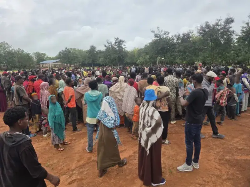 UN agencies seek Sh1.16bn to aid 50,000 Ethiopians fleeing to Kenya