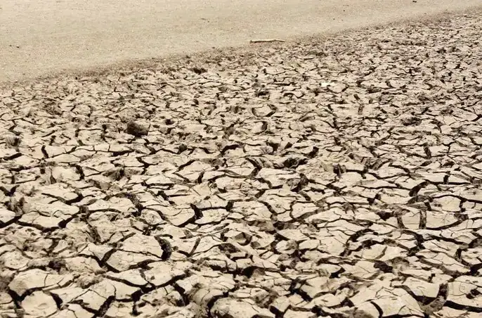 Lancet Countdown urges climate change be declared a global health emergency