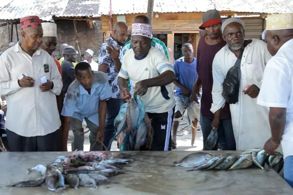 Climate Change Impacts Tanga's Fishing Industry