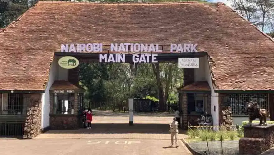 Court Halts Construction in Nairobi National Park
