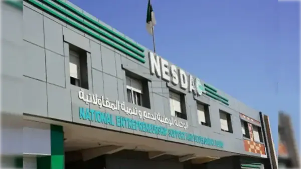 NESDA : Plus de 7 000 microentreprises créées depuis octobre 2025