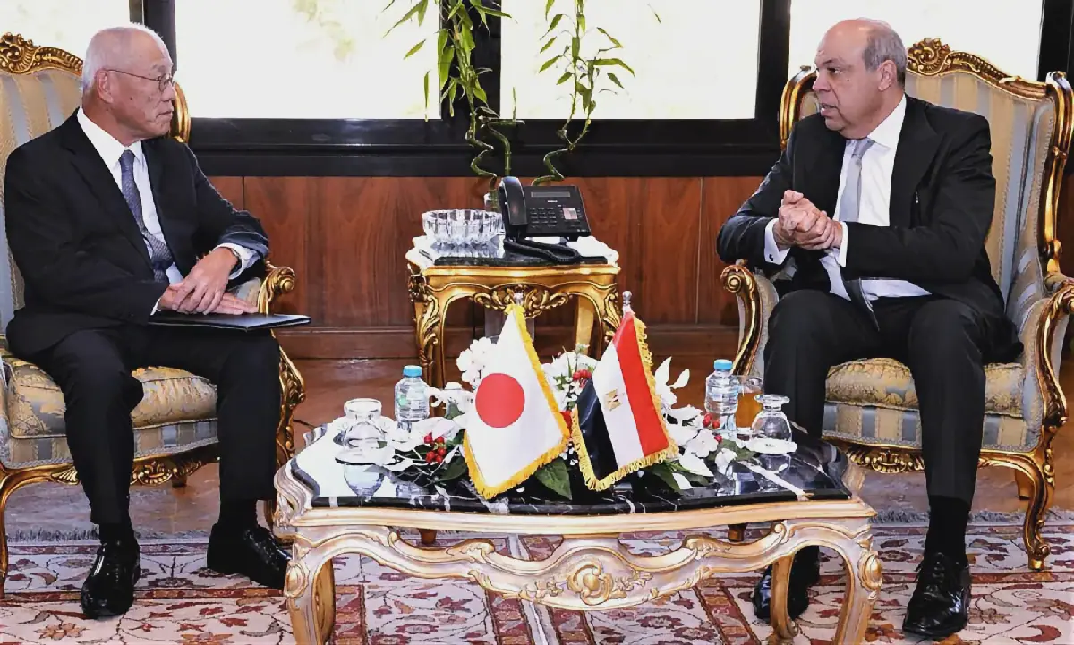 Egypt seeks Japanese investment in airport development projects