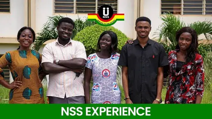 How to Check Your NSS Posting