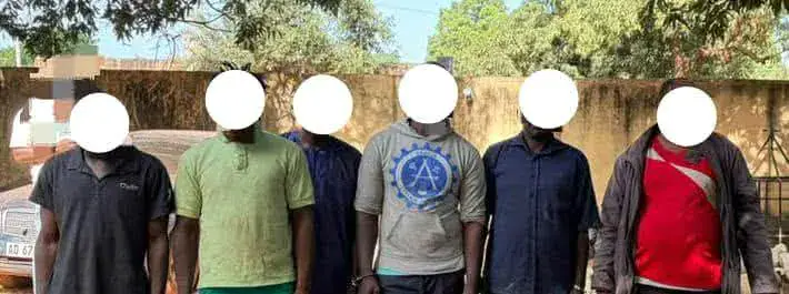 Major Cattle Theft Ring Dismantled in Bougouni, Mali