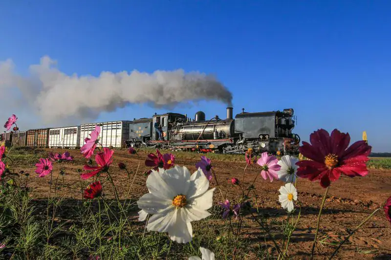 Sandstone Estates – where historic steam locomotives bring SA railway history to life