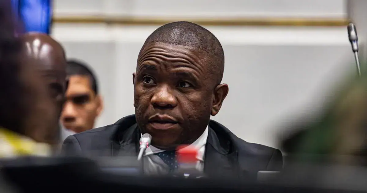 South Africa: Cachalia Backs Mkhwanazi for Hawks Head