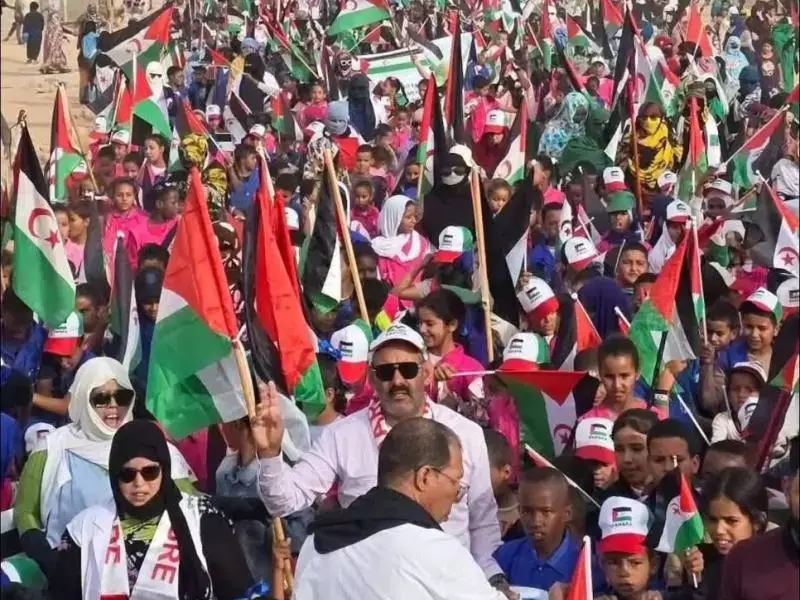 MANIFESTATIONS POPULAIRES À SMARA ET DAKHLA - Vent debout contre le projet de résolution américain
