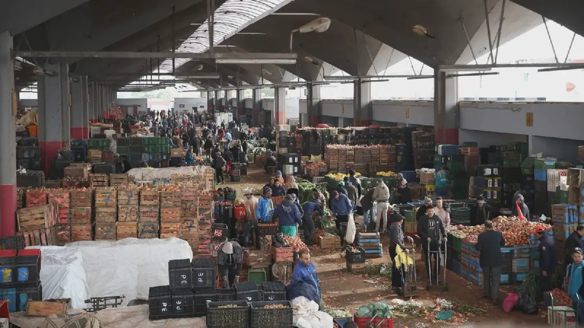 Morocco Introduces New Measures to Control Food Prices and Exports