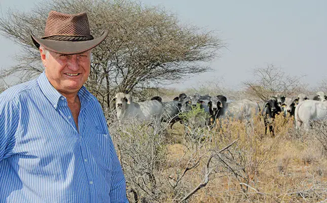 Savanna halts operations amid FMD crisis