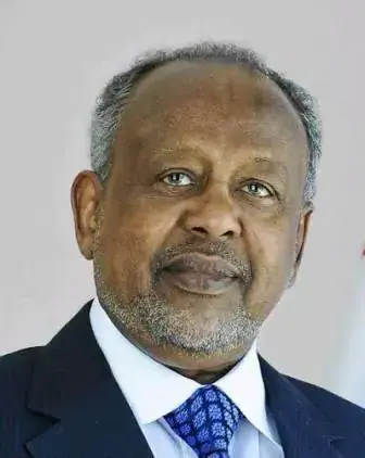 Djibouti President Congratulates Turkish and Brazilian Counterparts