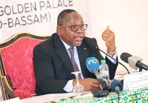 Côte d'Ivoire's Conseil d'État Tackles Over 5,000 Pending Cases