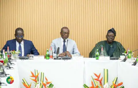 Benin's New Senate Begins Work Amid Calls for Stability