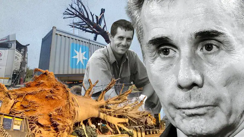 The tree-loving Georgian billionaire, the Pretoria landscaper and the SA baobab export row