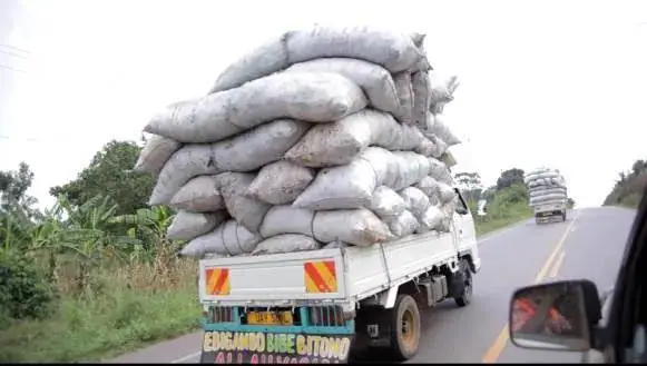 Make smaller gas cylinders to replace charcoal, says expert