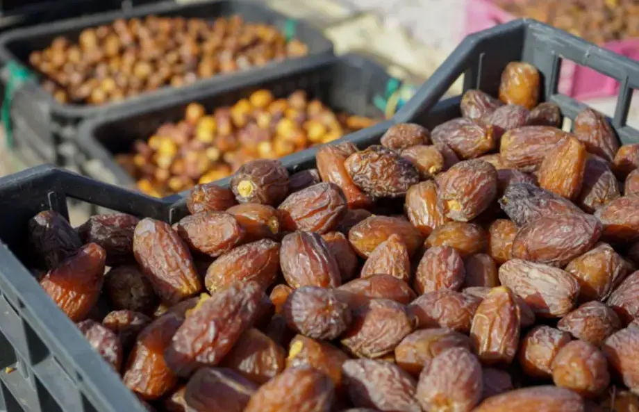 Moroccan Date Production Expected to Reach 180,000 Tons