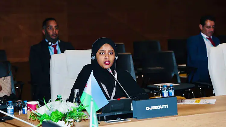 Djibouti attends meeting on anti-corruption laws
