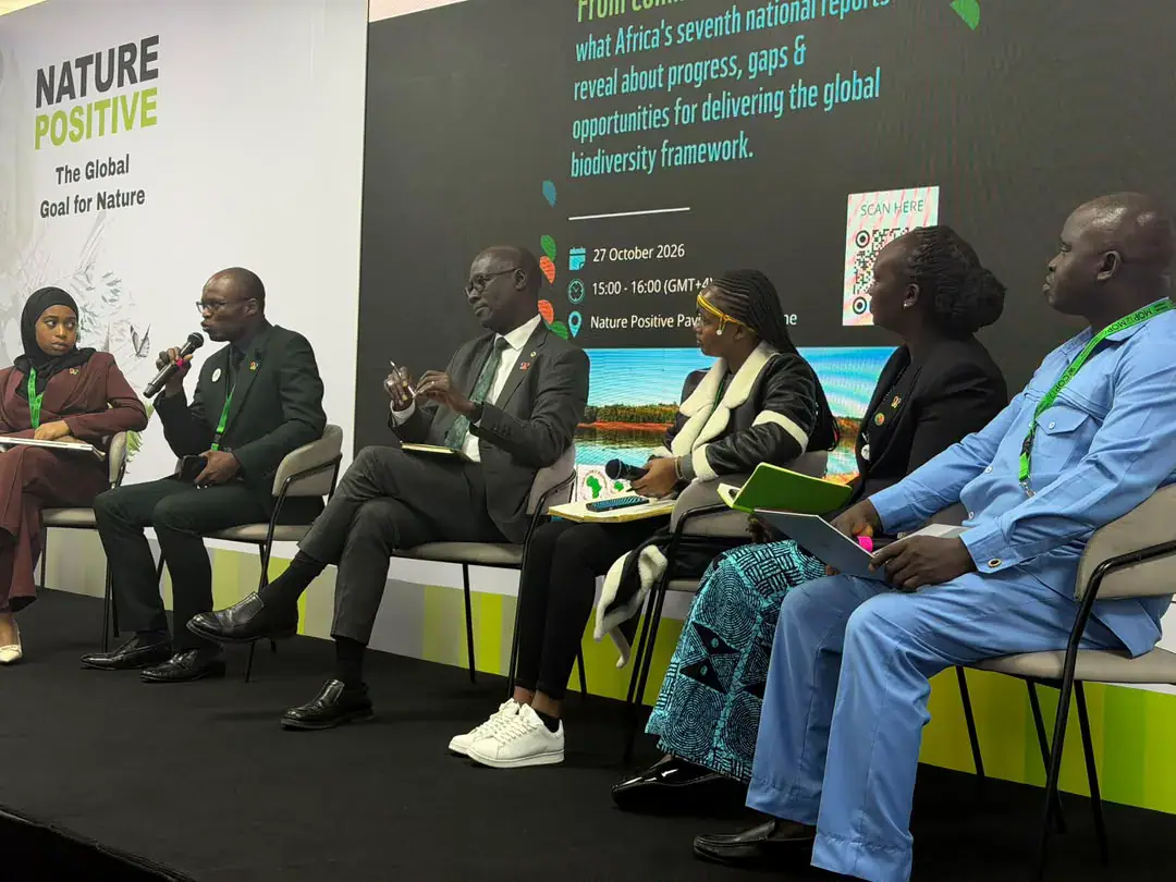 African countries struggle to mobilise biodiversity funding - AfDB official