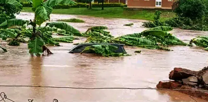 Uganda Steps Up Anticipatory Action to Mitigate Extreme Weather Risks Amid El Niño Threat