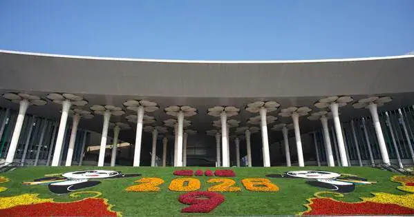 African Businesses Seek New Opportunities at China's Import Expo