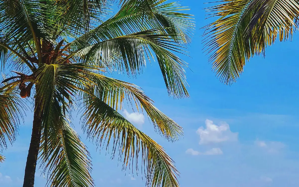 Solo Travel in Tanzania: Budget, Logistics, and Safety Considerations