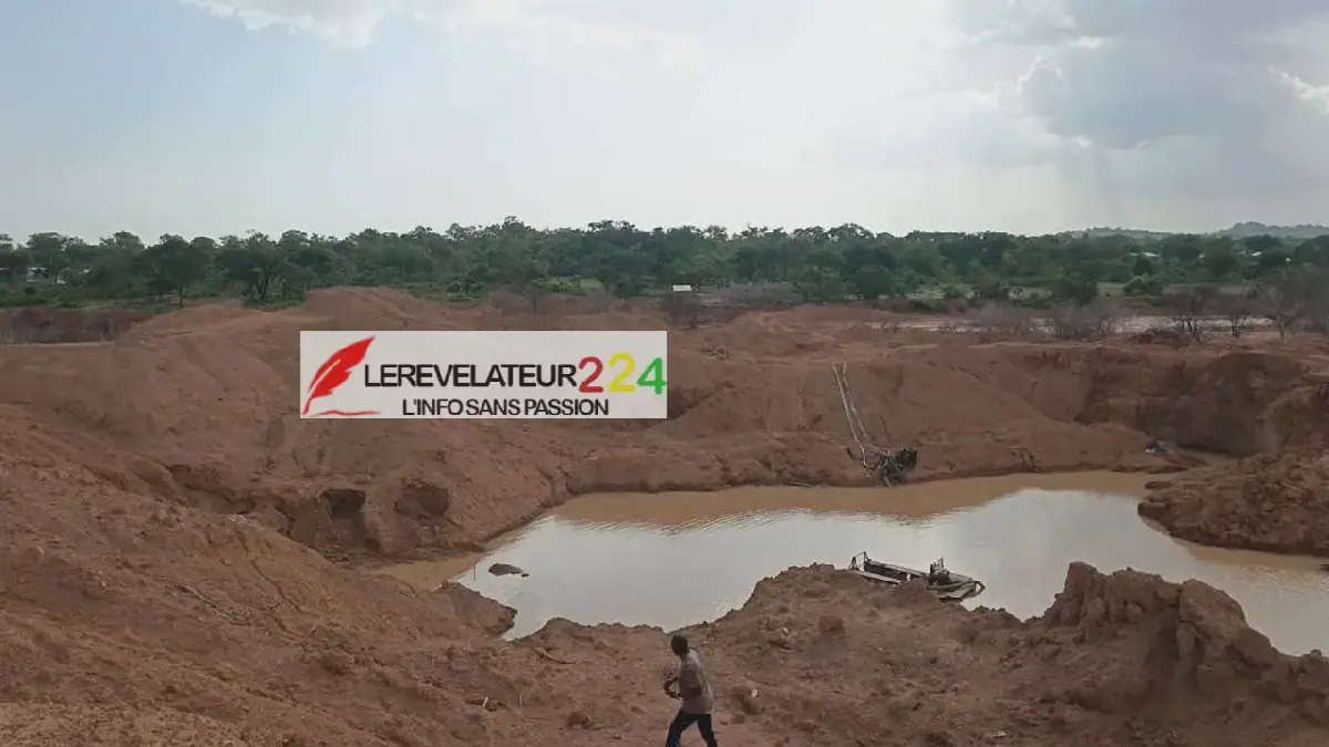 Guinea Region Suspends All Artisanal Gold Mining Activities