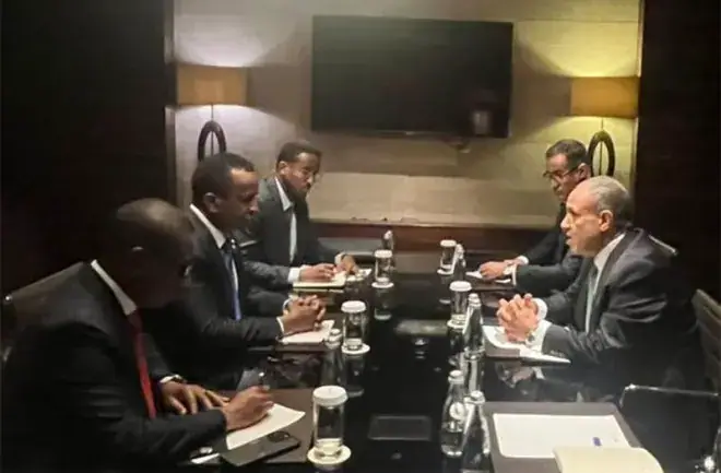 Egypt, Somalia discuss regional security at Russia-Africa summit