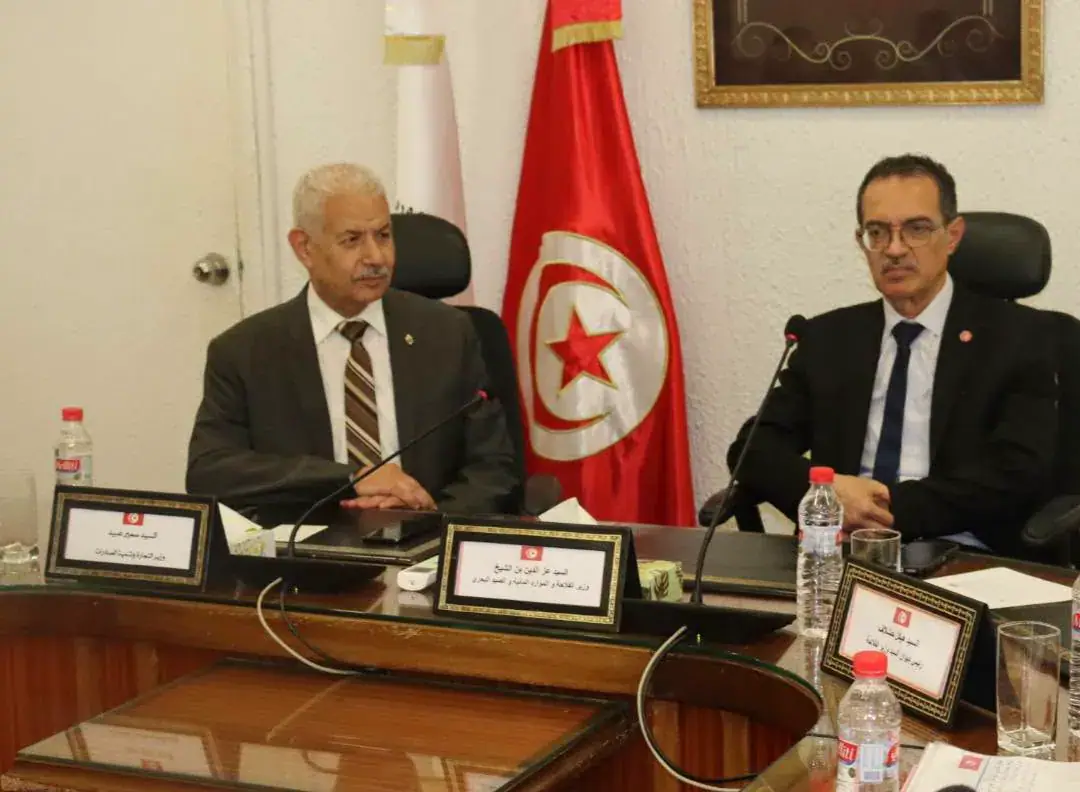 Tunisian Ministers Discuss Preparations for 2027 Eid al-Adha Sacrifices and Livestock Reconstitution