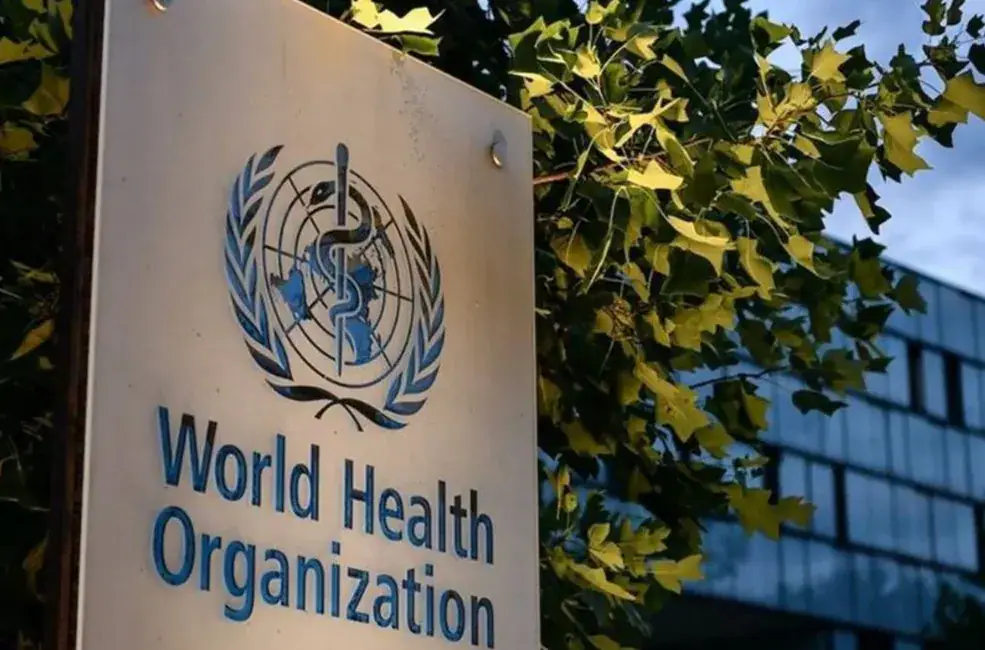Seven Candidates in the Running for WHO Director-General