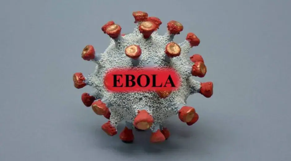 Democratic Republic of Congo Reports Over 5,000 Ebola Deaths