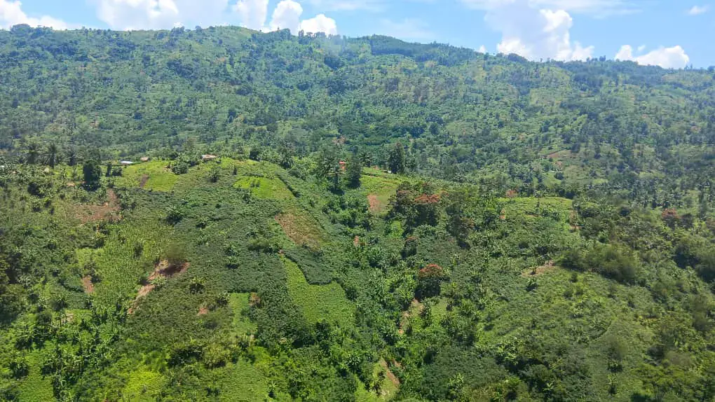 Resurgence of ADF Rebels in DR Congo's Lubero Region Sparks Concern
