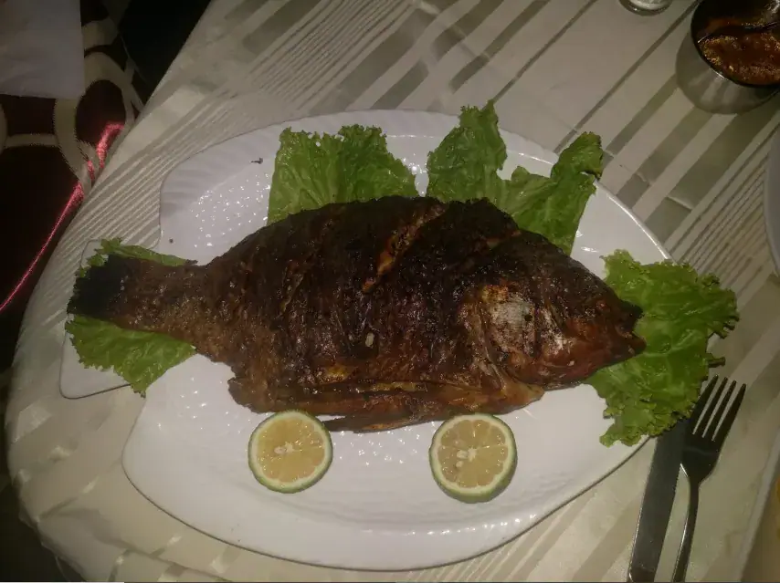 Nutritional Benefits of Fish for Brain Development and Overall Health