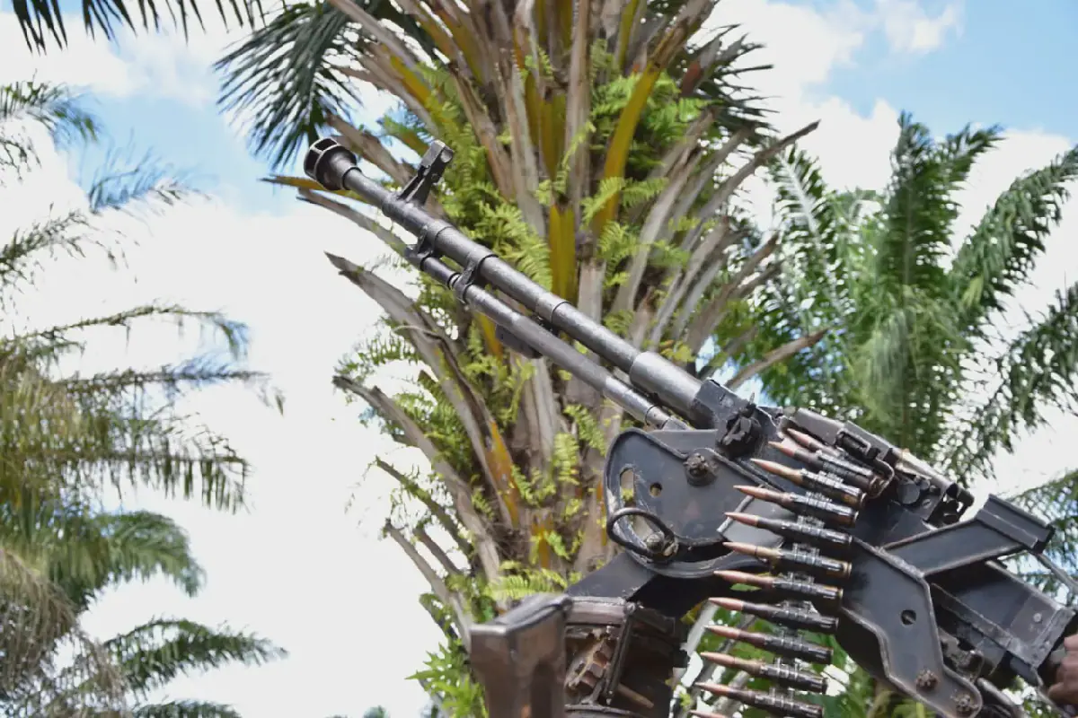 Military and Militants Killed in Attack on DR Congo Army Position