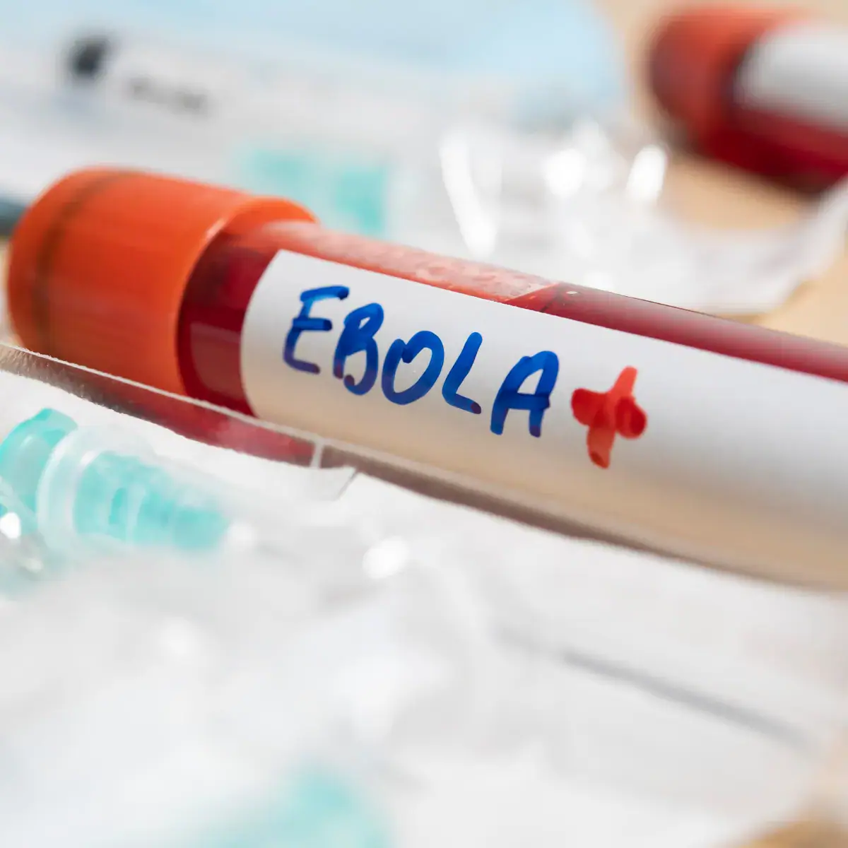 Over 2,300 New Ebola Cases Confirmed in Eastern DRC