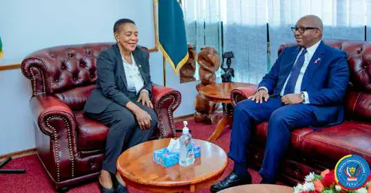 Democratic Republic of Congo's Senate President Mobilizes Africa for UPA