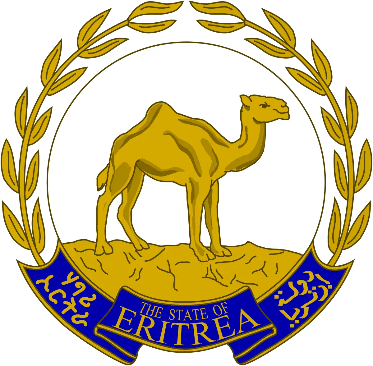 Eritrea: Surgery to Correct Congenital Deformities Performed on Children