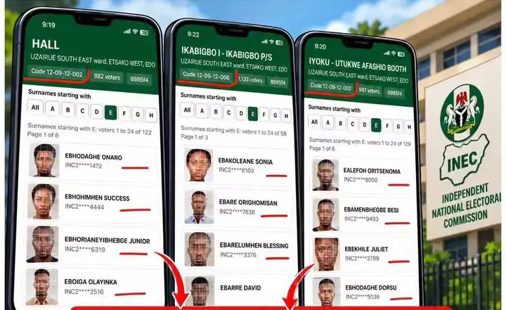 INEC ICT Director Reveals Irregularities in Voter Register