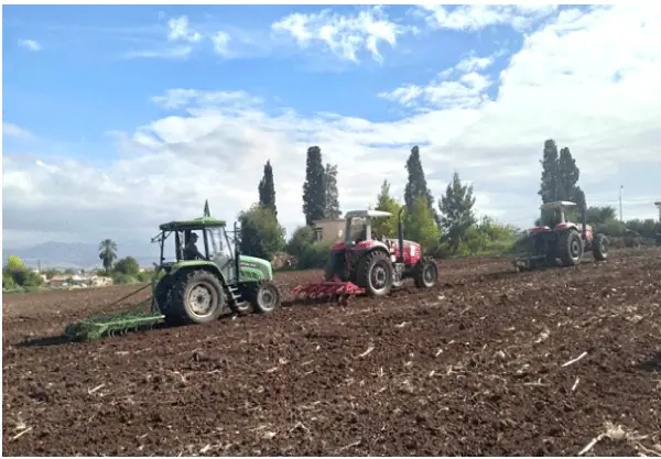 Algerian Province of Guelma Launches 2026-2027 Agricultural Season