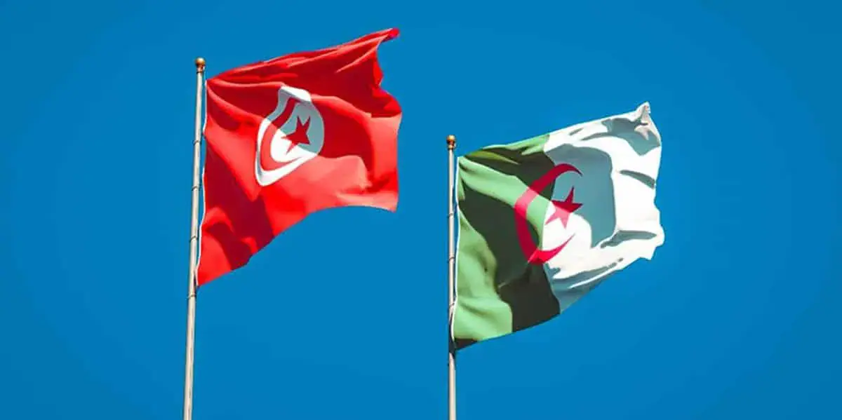 Tunisie-Algérie : Un partenariat pour accélérer le transfert de technologie