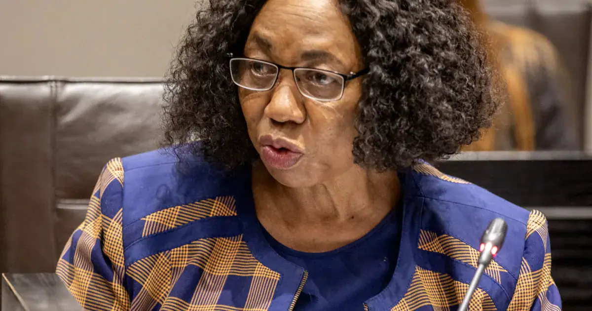 South African Defence Minister Explains Emergency Deployment of Soldiers