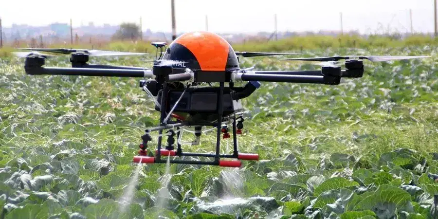 CGIAR Scaling Fund Backs Eight Agricultural Innovations Across Ten Countries