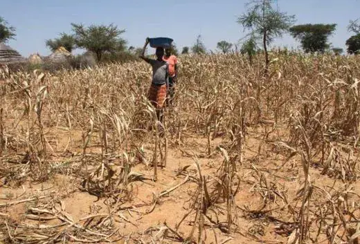 UK provides $2.8M to FAO, WFP to tackle climate shocks in South Sudan