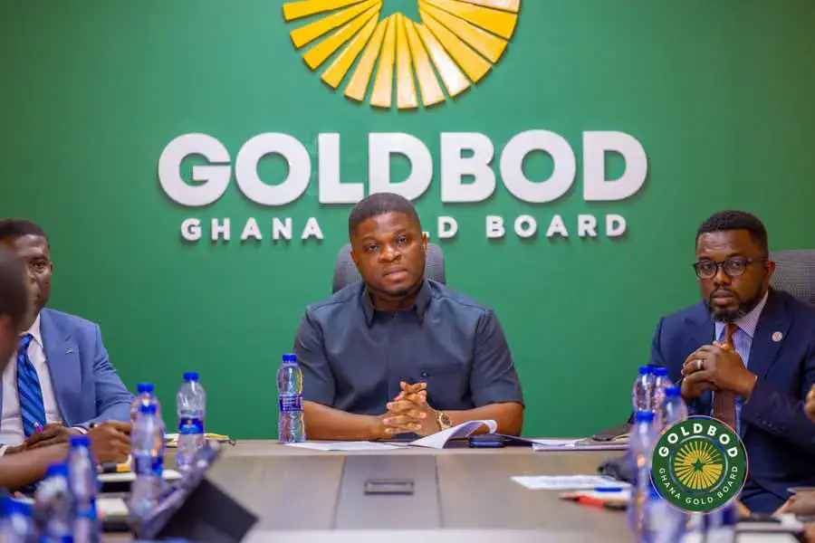 Sammy Gyamfi accuses Akufo-Addo administration of targeting anti-galamsey campaigners