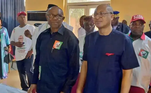 Utomi: Obi Will Strengthen Naira to N500/$1 if Elected